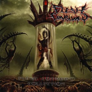FLESH CONSUMED - Flesh Consumed Collection  SEVARED RECORDS